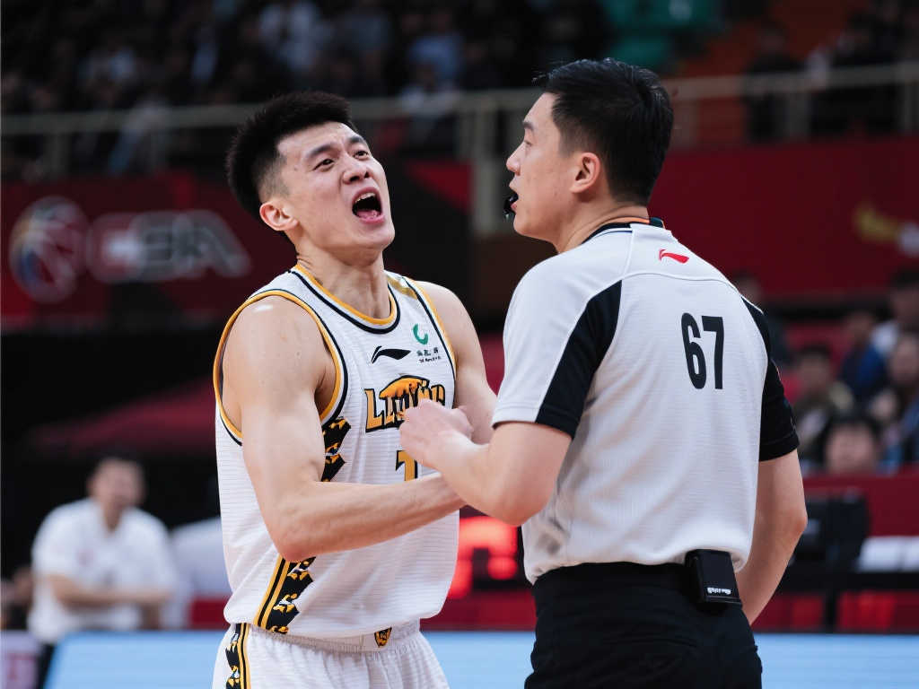 能带来高回 能带来高回